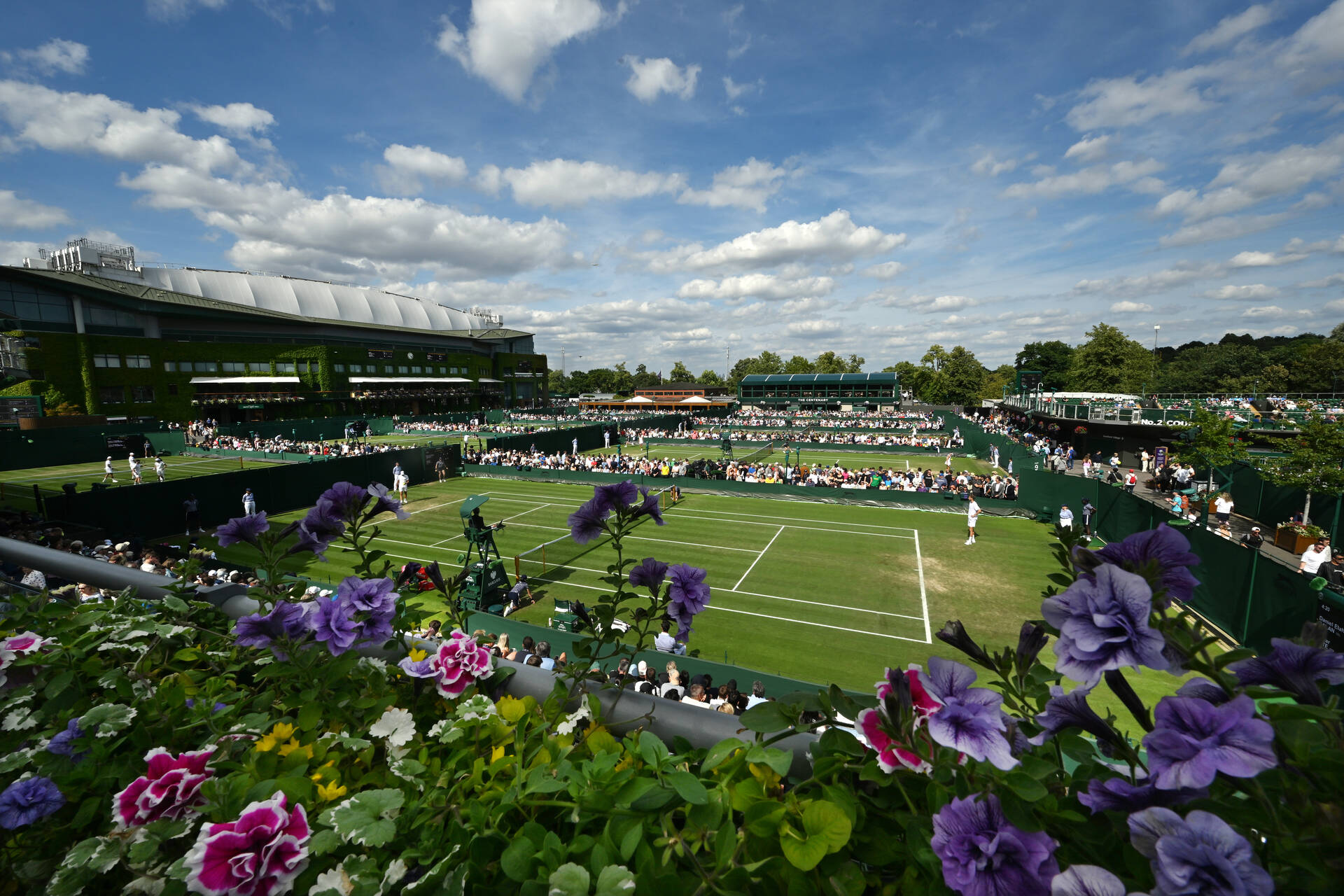 Preview 2024 Junior Championships, Wimbledon ITF